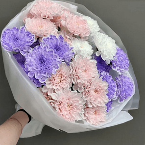 Монобукет из Хризантем 50см 5шт